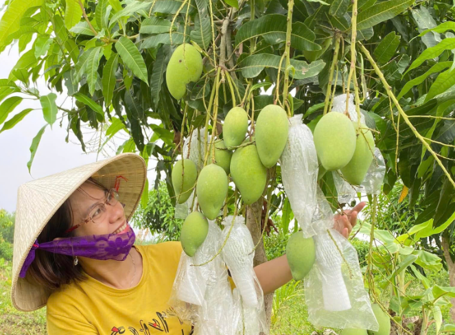 Khánh Hòa khẩn trương triển khai đề án giảm phát thải trong trồng trọt